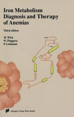 Iron Metabolism