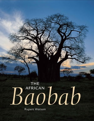 The African Baobab