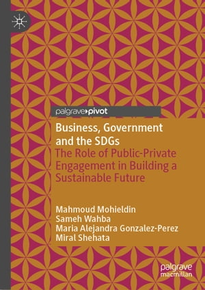 Business, Government and the SDGs The Role of Public-Private Engagement in Building a Sustainable Future