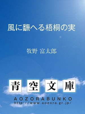 風に飜へる梧桐の実