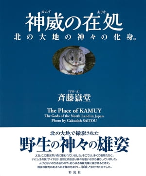 神威（カムイ）の在処（ありか） 北の大地の神々の化身【電子書籍】[ 斉藤 嶽堂 ]