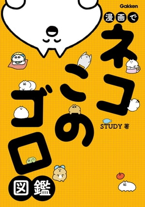 STUDY