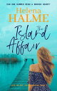 The Island Affair A Contemporary Nordic Novel【