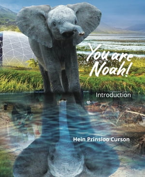 You are Noah! Introduction