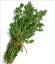 A Crash Course on How to Grow Thyme