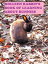 Rolleen Rabbit's Book of Learning About Bunnies Book 1Żҽҡ[ Rowena Kong ]