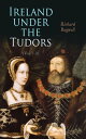 Ireland under the Tudors (Vol. 1-3) With a Succinct Account of the Earlier History (Complete Edition)