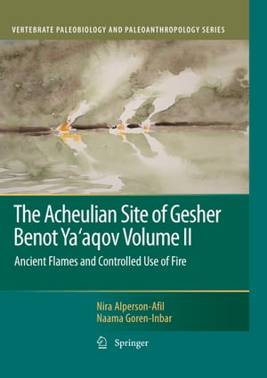 The Acheulian Site of Gesher Benot Ya’aqov Volume II