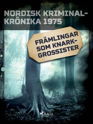 Främlingar som knarkgrossister