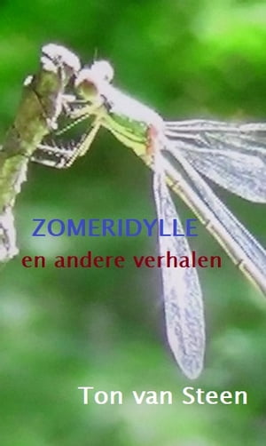 Zomeridylle【電子書籍】[ Ton van Steen ]