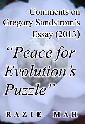 Comments on Gregory Sandstrom’s Essay (2013) 