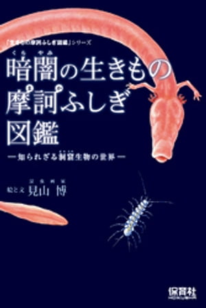 暗闇の生きもの摩訶ふしぎ図鑑