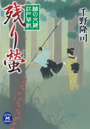 槍の文蔵江戸草紙
