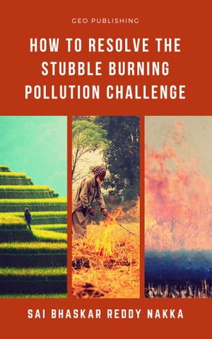 How to Resolve the Stubble Burning Pollution Challenge