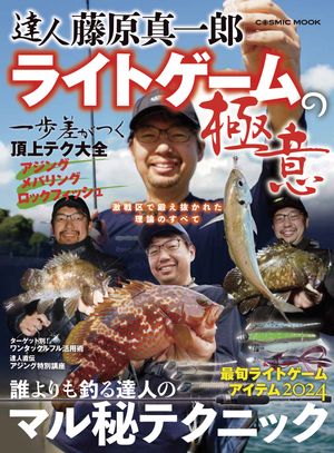 達人 藤原真一郎 ライトゲームの極意