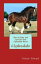 How to Raise and Care for Your Clydesdale Horse