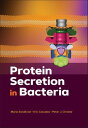 Protein Secretion in Bacteria