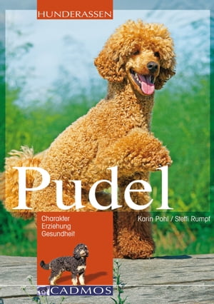 Pudel