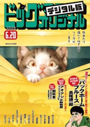 ビッグコミックオリジナル 2024年12号（2024年6月5日発売)