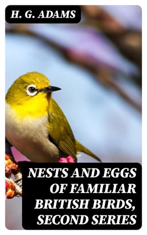 Nests and Eggs of Familiar British Birds, Second