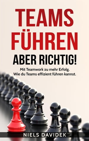 Teams Führen – aber Richtig!: Mit Teamwork zu mehr Erfolg. Wie Du Teams Effizient Führen Kannst.