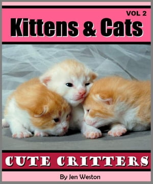 Kittens & Cats - Volume 2