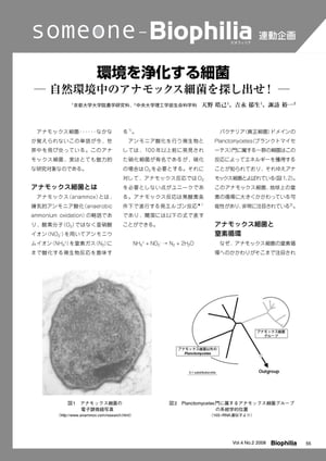 someone - Biophilia 連動企画 : 環境を浄化する細菌 ー 自然環境中のアナモックス細菌を探し出せ！ ー