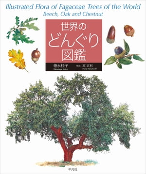 世界のどんぐり図鑑【電子書籍】[ 徳永桂子 ]のサムネイル