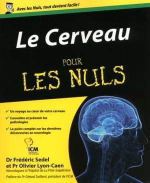 Le cerveau pour les nuls