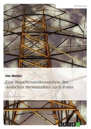 Eine Branchenstrukturanalyse des deutschen Strommarktes nach Porter