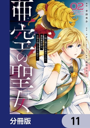 亜空の聖女 〜妹に濡れ衣を着せられた最強魔術師は、正体を隠してやり直す〜【分冊版】　11