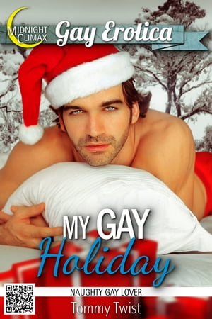 My Gay Holiday (Naughty Gay Lover)