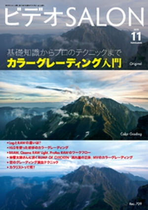 ビデオ SALON (サロン) 2019年 11月号【電子書籍】