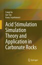 Acid Stimulation Simulation Theory and Application in Carbonate Rocks【電子書籍】[ Cun...