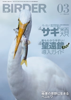 BIRDER2015年3月号