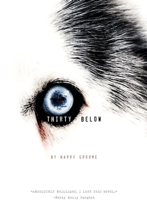 Thirty Below【電子書籍】[ Harry Groome ]