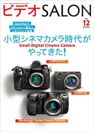 ビデオ SALON (サロン) 2019年 12月号【電子書籍】