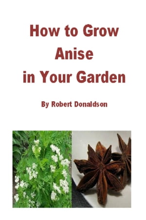 How to Grow Anise in Your Garden