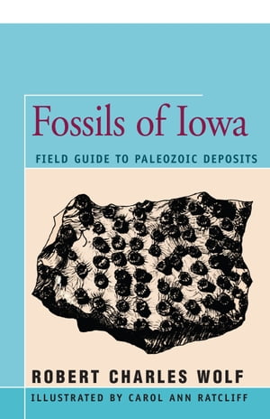 ŷKoboŻҽҥȥ㤨Fossils of Iowa Field Guide to Paleozoic DepositsŻҽҡ[ Robert Wolf ]פβǤʤ1,200ߤˤʤޤ