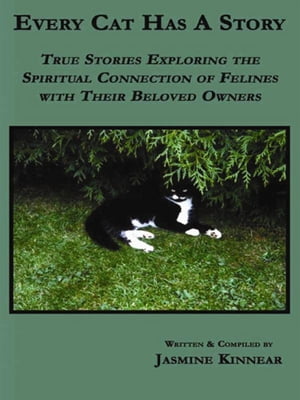 Every Cat Has A Story: True Stories Exploring The Spiritual Connection Of Felines With Their Beloved Owners