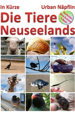 Die Tiere Neuseelands in Kuerze