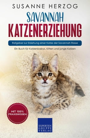 Savannah Katzenerziehung - Ratgeber zur Erziehung einer Katze der Savannah Rasse