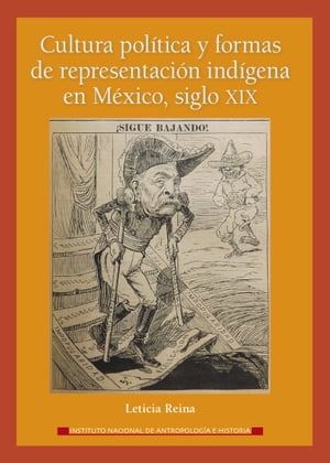 Cultura política y formas de representación indígena en México, siglo XIX