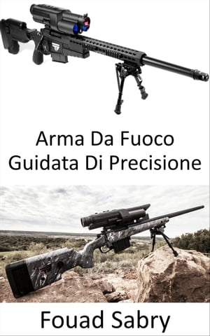 Arma Da Fuoco Guidata Di Precisione