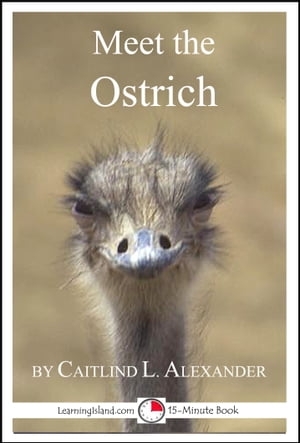 ŷKoboŻҽҥȥ㤨Meet the Ostrich: A 15-Minute Book for Early Readers 15-Minute Books, #27Żҽҡ[ Caitlind L. Alexander ]פβǤʤ200ߤˤʤޤ