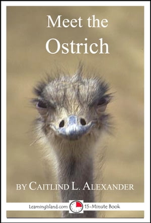 Meet the Ostrich: A 15-Minute Book for Early ReadersŻҽҡ[ Caitlind L. Alexander ]