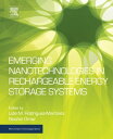 Emerging Nanotechnologies in Rechargeable Energy Storage Systems【電子書籍】(3)