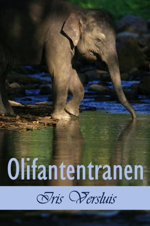 Olifantentranen