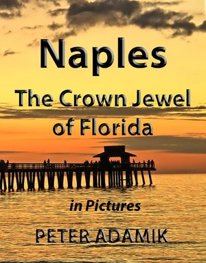 Naples The Crown Jewel of Florida in Pictures