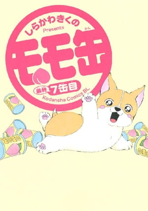 しらかわきくの